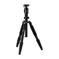 ROLLEI Compact Traveler No. 1, Schwarz (22585)