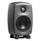 GENELEC 8010APM