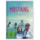 Mustang (G.N.Sensoy / D.Z.Doguslu)