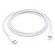 APPLE Lightning auf USB-C Kabel, 1.0m (MUQ93ZM/A)