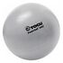 TOGU Powerball ABS 65cm, Silber