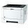 KYOCERA Ecosys P2040dw (1102RY3NL0)