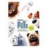 The Secret Life of Pets (DVD, 2016)