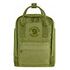 FJÄLL RÄVEN Re-Kanken Mini, Spring Green