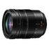 PANASONIC Lumix DG Elmarit 12-60 mm F2.8-4.0 ASPH. O.I.S. (H-ES12060)