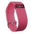 FITBIT Charge HR, Pink, Large (FB405PKL)