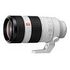 SONY FE 100-400mm F/4.5-5.6 GM OSS (SEL-100400GM)