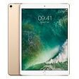 APPLE iPad Pro 10.5" (2017) Wi-Fi + Cellular (4G), 512GB, Gold (MPMG2TY/A)