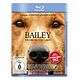 Bailey - Ein Freund fürs Leben (Blu-ray, 2017, B.Robertson / D.Quaid)