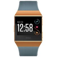 FITBIT Ionic Copper Gray FB503CPBU EU from CHF 399.90 at