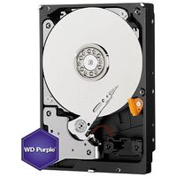 WESTERN DIGITAL Purple, 500GB (WD05PURZ)