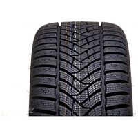 Dunlop WinterSport 5 225/55R17 101V XL Erfahrungen