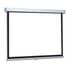 PROJECTA ProScreen 160x160cm (10200001)