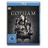 Gotham - Die komplette zweite Staffel (Blu-ray, B.McKenzie / J.Pinkett Smith)