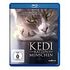 Kedi - Von Katzen und Menschen (Blu-ray, 2016)