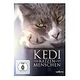 Kedi - Von Katzen und Menschen (DVD, 2016)