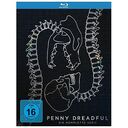 Penny Dreadful - Die komplette Serie (Blu-ray, T.Dalton / E.Green)