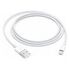 APPLE Lightning to USB Cable, 1.0m (MUQW3ZM/A)