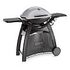 WEBER Q 3000, CH version, Titanium (56060094)