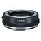 CANON Control Ring Mount Adapter EF-EOS R (2972C005)
