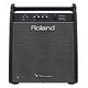 ROLAND Personal Monitor PM-200