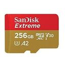 SANDISK Extreme microSDXC, UHS-I U3, A2, Class 10, V30, 256GB (SDSQXA1-256G-GN6MA)