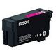 EPSON C13T40D340