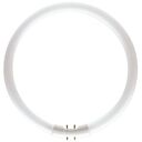 PHILIPS MASTER TL5 Circular 60W/840 1CT/10 (927966084013)