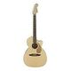 FENDER Newporter Player