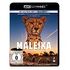 Maleika (Blu-ray 4K Ultra-HD, 2017)