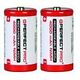 PERFECTPRO Akku C, Pack of 2 (00-6298)