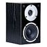 WILSON HIFI Raptor Mini, Black