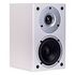 WILSON HIFI Raptor Mini, White