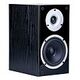 WILSON HIFI Raptor 1, Black