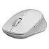 RAPOO M300 Silent Multi-mode Wireless Mouse, Gray (18047)