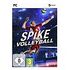 Spike Volleyball (Bigben), PC