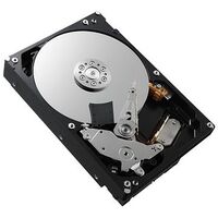 DELL PowerEdge G14 Harddisk 4.0TB (400-AUUX)
