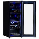 COLDTEC Wine Cabinet THD21 (100381)