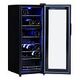 COLDTEC Wine Cabinet THD21 (100381)