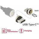 DELOCK Magnetic Adapter USB Type-C (65933)