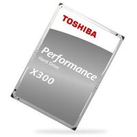 TOSHIBA X300 High-Performance, 14TB, Retail (HDWR21EEZSTA)