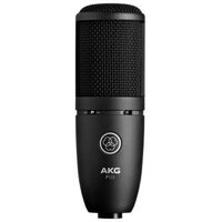 AKG P 120