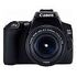 CANON EOS 250D Kit, EF-S 18-55mm IS STM, Black (3454C002)