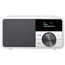 SANGEAN Genuine Mini DAB DDR-7, Glacier Silver