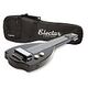 EPIPHONE Electar Inspired by "1939" Century Lap Steel