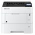 KYOCERA Ecosys P3150dn (1102TS3NL0)