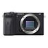 SONY Alpha 6600 Body, Black (ILCE6600B)