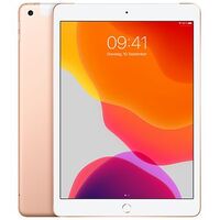 Apple Ipad 10 2 2019 7th Gen Wi Fi Cellular 4g 128gb Gold Mw6g2ty A From Chf 569 95 At Toppreise Ch