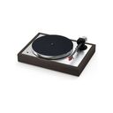 PRO-JECT The Classic Evo, Eucalyptus