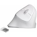 DELOCK Ergonomic USB Mouse vertical - wireless (12596)